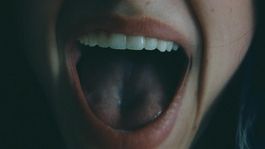 la gran ganadora de los premios oscar finalmente llega al streaming la gran ganadora de los premios oscar finalmente llega al streaming