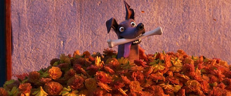 Hasta Dante está sorprendido con el anuncio