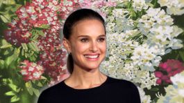Natalie Portman reveló qué película de Studio Ghibli ocupa el primer lugar en su lista.