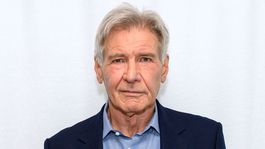 Harrison Ford reveló que no entiende la razón por la que los científicos nombran como él a especias peligrosas cuando, en su vida privada, es un anciano como cualquier otro