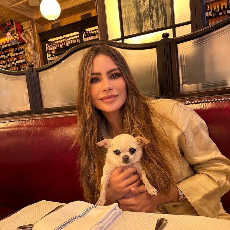 Sofía Vergara le dio su perro a su ex en el divorcio