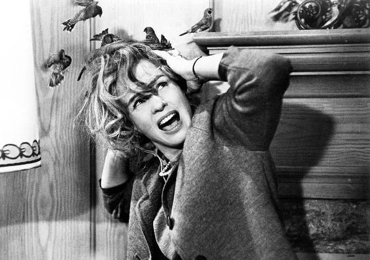 No puedes perderte este gran clásico