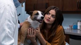Lucy Hale protagoniza esta divertida comedia romántica con perros