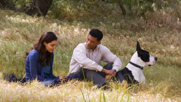 Una película estrenada en el año 2008 y ahora disponible en Max.