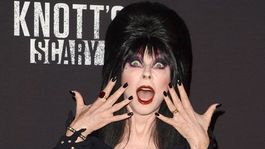 Cassandra Peterson como Elvira Cassandra Peterson como Elvira