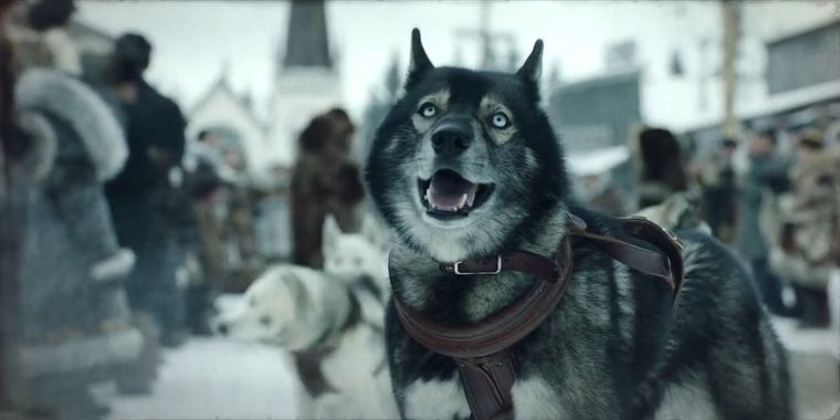 Si te gustan las historias protagonizadas por perros, este drama es para ti Si te gustan las historias protagonizadas por perros, este drama es para ti