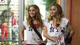 Las gemelas Olsen protagonizan esta joya de culto de comedia dosmilera Las gemelas Olsen protagonizan esta joya de culto de comedia dosmilera