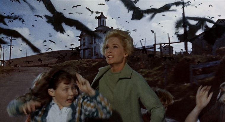 Tippi Hedren protagoniza Los pájaros. Tippi Hedren protagoniza Los pájaros.