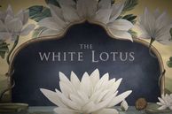 The White Lotus se muda a Francia. The White Lotus se muda a Francia.