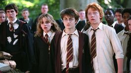 Harry Potter es una de las sagas más famosas del cine
