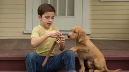 La razón de estar contigo se estrenó en 2017.