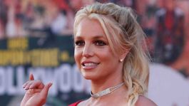 Detuvieron y multaron a Britney Spears.