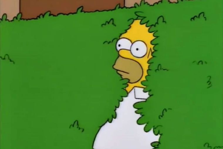 Una vez más Los Simpson se adelantaron