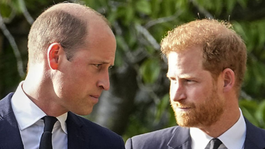 El Príncipe de Gales tiene un plan para cambiar su imagen.