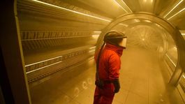 Un relato sobre la vida alienígena para ver hoy en Netflix Un relato sobre la vida alienígena para ver hoy en Netflix