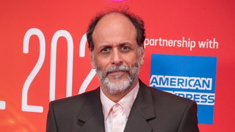 ¿Llega a cines la película de Luca Guadagnino?