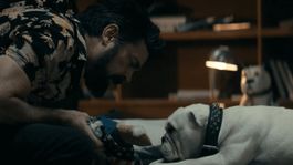El perro de Butcher puede ser clave en el final de la serie El perro de Butcher puede ser clave en el final de la serie