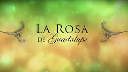 La Rosa de Guadalupe
