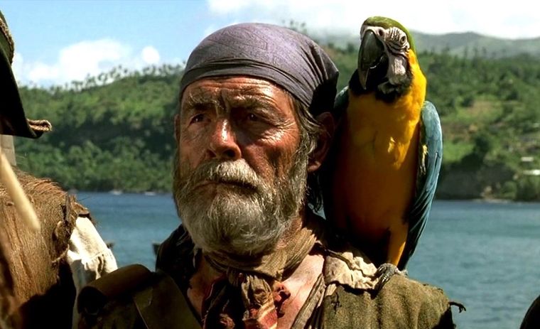 Cotton, el pirata sin lengua