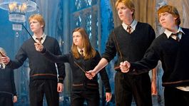 la serie de harry potter encontro a los hermanos weasley