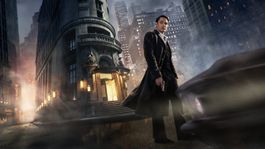 Que Ver | The Continental (1).jpg