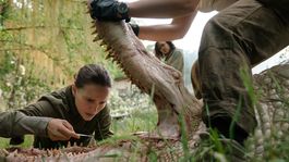 Natalie Portman protagoniza Aniquilación