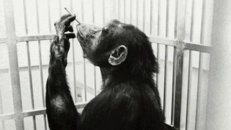 El documental se grabó durante dos meses. El documental se grabó durante dos meses.