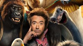 estas son las peliculas nominadas a lo peor del cine en los razzie