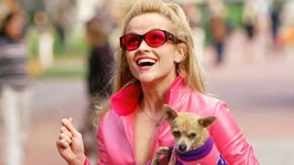 La comedia de culto dosmilera regresa a la pantalla con una precuela. La comedia de culto dosmilera regresa a la pantalla con una precuela.