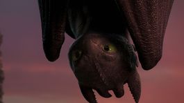 Chimuelo, el querido Furia Noctura de Cómo entrenar a tu dragón.