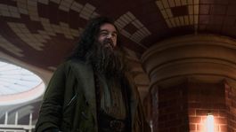 Nick Frost como el Rubeus Hagrid de la serie de Harry Potter.&nbsp;