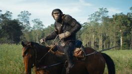 Noa el protagonista de la última película de El Planeta de los Simios. Noa el protagonista de la última película de El Planeta de los Simios.