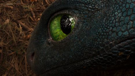 La mirada penetrante del Furia Nocturna