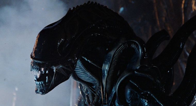 Los Xenomorfos harán desastres en la Tierra.