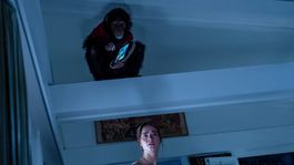 primate: una pelicula de terror que repite varias formulas pero que logra incomodar primate: una pelicula de terror que repite varias formulas pero que logra incomodar