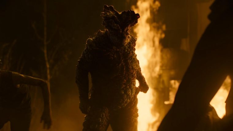 Un Bloater o Gordinflón, la etapa más alta de infección del codyceps