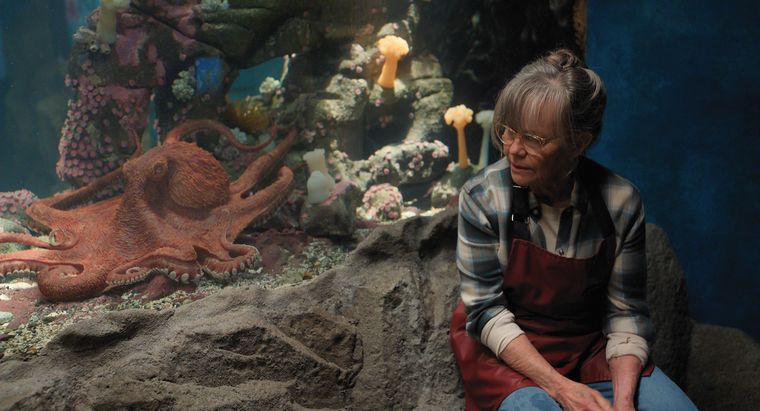 Un pulpo real sirvió de inspiración para Marcellus