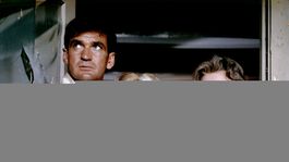 Los Pájaros, de Alfred Hitchcock, marcó un antes y un después en el cine