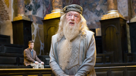 Un nuevo actor se pondrá en la piel de Dumbledore