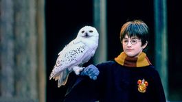 Harry Potter celebra 20 años de su primer filme