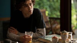 Timothée Chalamet en Beautiful Boy
