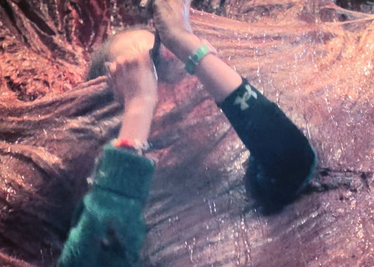 El error que generó burlas El error que generó burlas