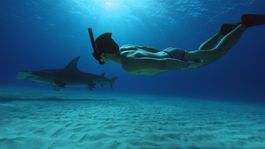 un documental sobre la naturaleza en amazon prime video que te hara cambiar de opinion