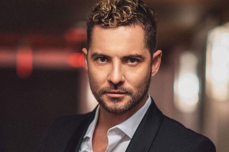 Cuantos hijos tiene David Bisbal y con quién.