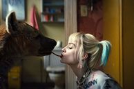 En 2020, Margot Robbie protagonizó la película en solitario de Harley Quinn