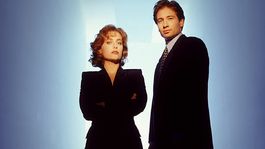 The X Files