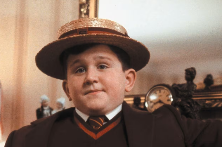 Harry Melling es recordado por su papel de Dudley Dursley en la saga Harry Potter