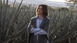 Monarca cuenta con dos temporadas en la plataforma de streaming líder