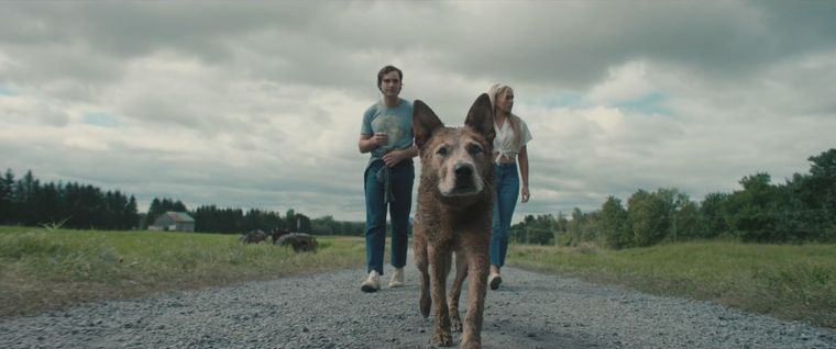 La muerte es un misterio y el entierro, un secreto