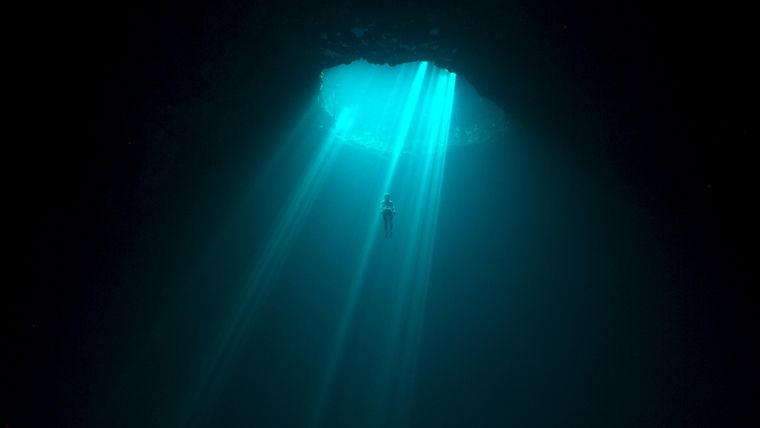 El documental cuenta con imágenes absolutamente impactantes